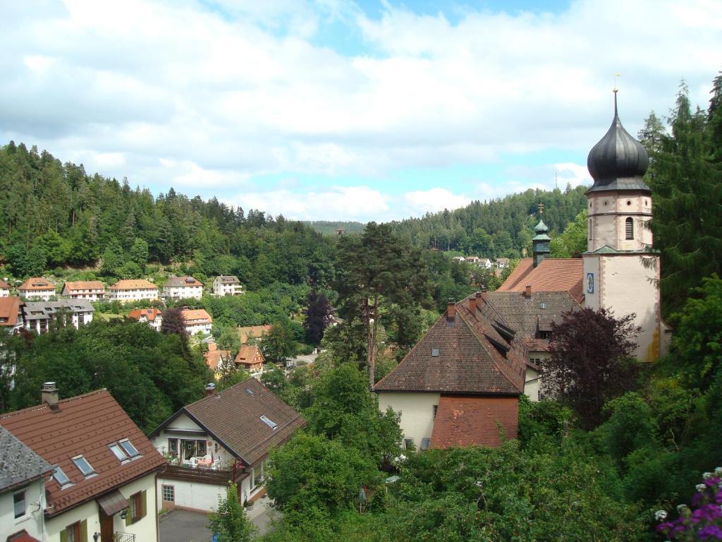 Self-Check-In Ferienwohnungen & Apartments Am Bergsee Triberg im Schwarzwald ห้อง รูปภาพ